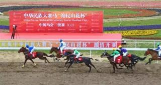 伊犁柔雅价格表（2019中华民族大赛马）