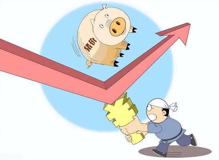 今日河南豬價格是多少（豬價連續6周上漲）
