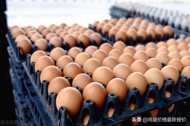 馆陶今日鸡蛋价格（2022年5月19日鸡蛋价格最新报价行情）