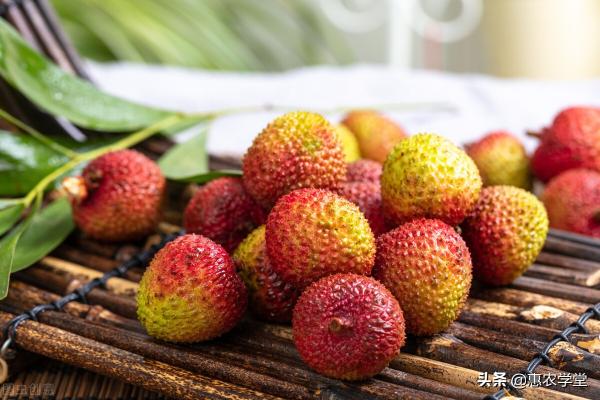 最新桂味荔枝价格行情（妃子笑跌至3元）