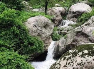 鲁山好运谷门票价格（免票）