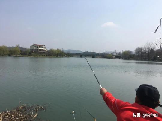 刚树钓竿价格表（6）