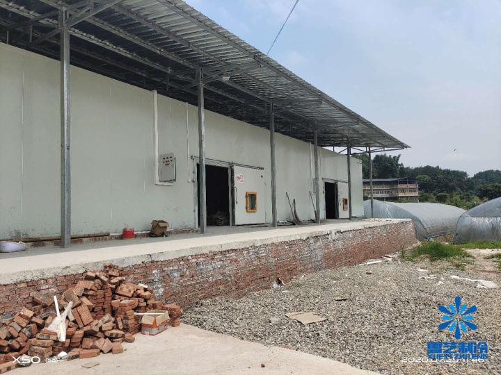 果蔬保鲜冷库价格（果园附近建冷库要具备哪些条件）