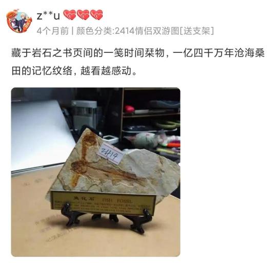 狼鳍鱼化石价格（最古老的店）