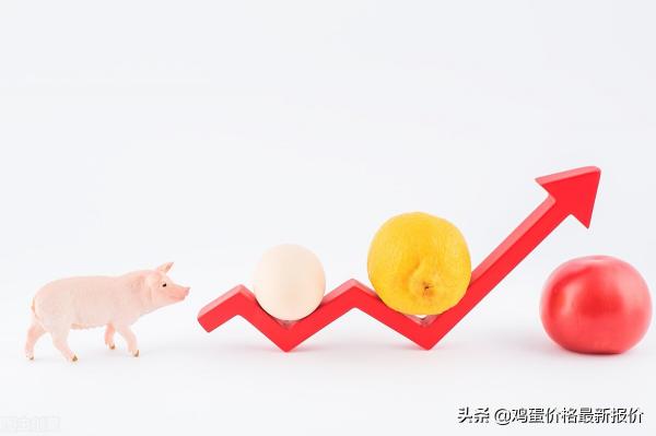 平顶山鸡蛋最新价格（2022年3月17日鸡蛋价格最新报价行情）