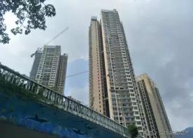 坪山心海城价格（国庆黄金周深圳6大新盘即将入市）