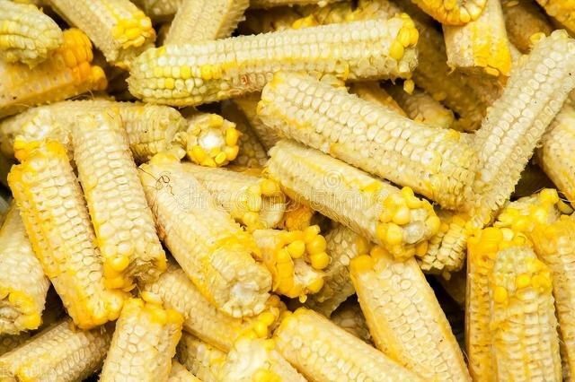 猴头菇价格多少钱一斤（中国当成饲料）