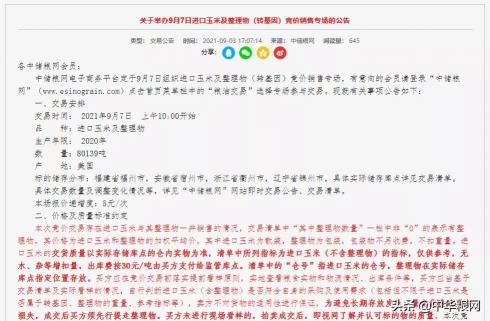 临清金玉米价格（9月6日玉米下跌之势卷土重来）