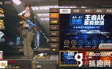 无影礼包v3价格表（搞趣网）