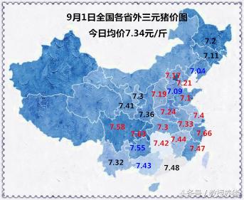 明天金锣生猪收购价格（9月1日全国猪价行情）