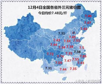明天金锣生猪收购价格（12月4日全国猪价行情）