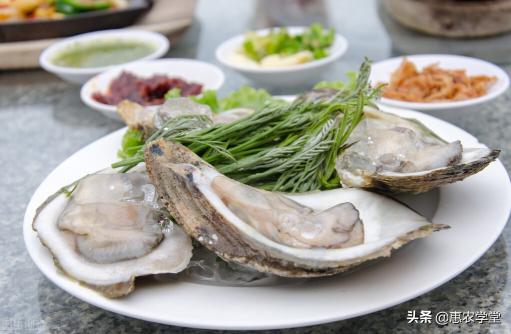 湛江生蚝批发价格（福建生蚝为什么那么便宜）