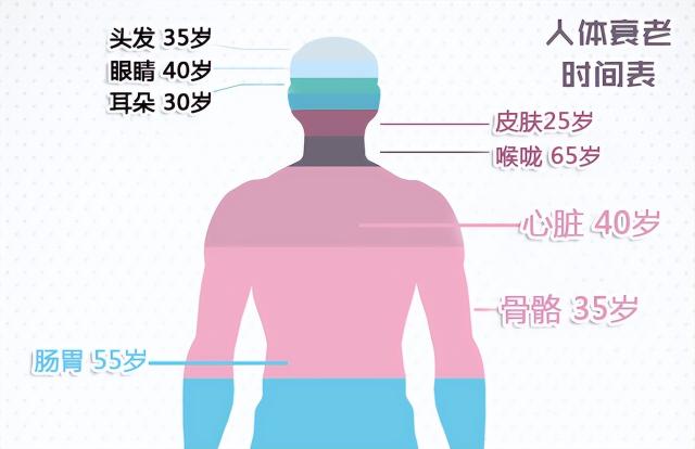 2016年人体器官价格（打工人请回答）