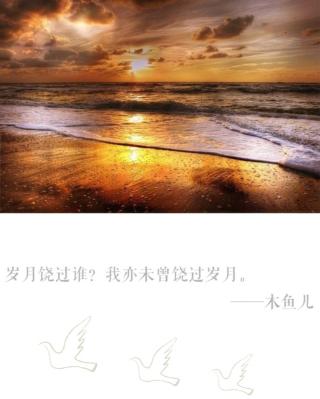 脚清露的价格是多少（随笔）