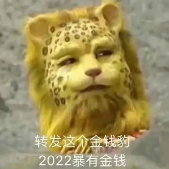 套间门价格表（做梦素材有了）