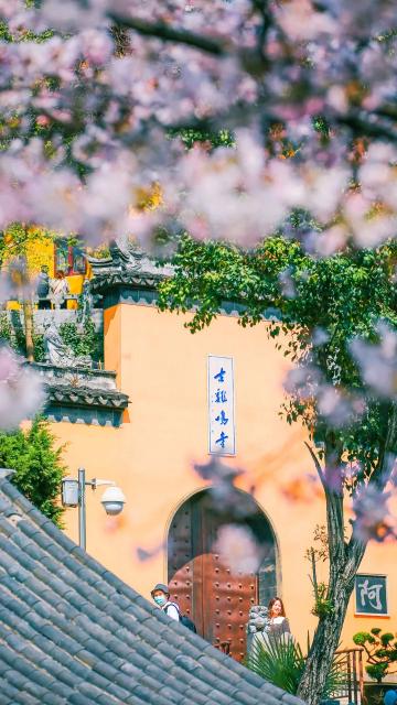 杭州金碧辉煌价格出台（去了可能是国内最）