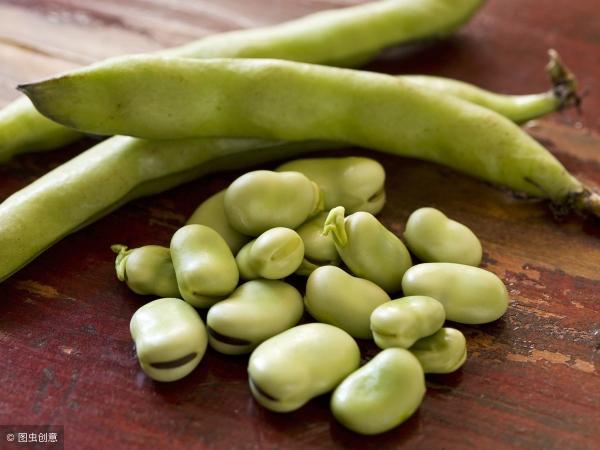 蚕豆价格2017（4月1日蚕豆最新价格行情信息汇总）