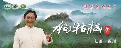 狗牯腦茶葉價格表(2019中國茶葉區域公用品牌價值評估結果出爐)