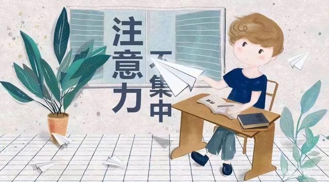 好儿女超强注意力价格（奶奶带娃真有一套）