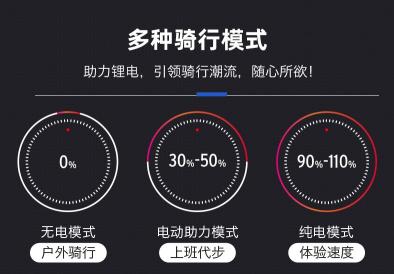 风凰自行车价格及图片（全国上牌）