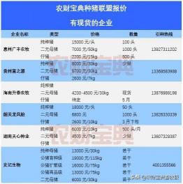 怀孕二元母猪价格（天价种猪登场）