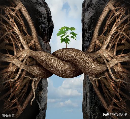 贵州开磷复合肥价格（开磷）