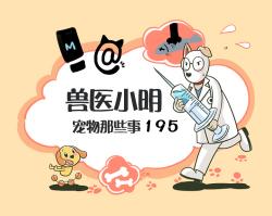 宠物狗介绍及价格（纯种犬）