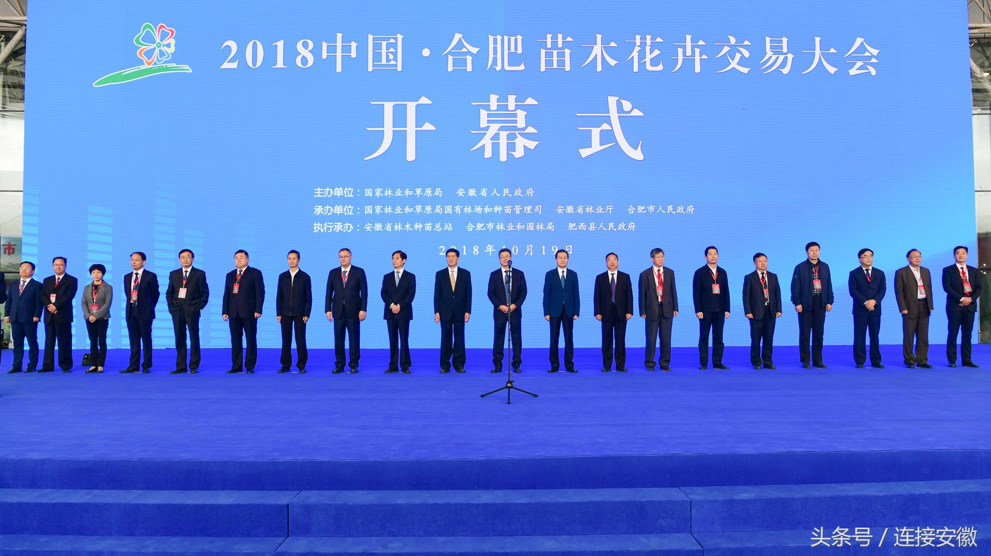 广玉兰价格2017报价（第十六届苗交会盛大开幕）