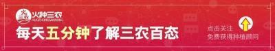 2015猕猴桃价格（9月6日猕猴桃价格）