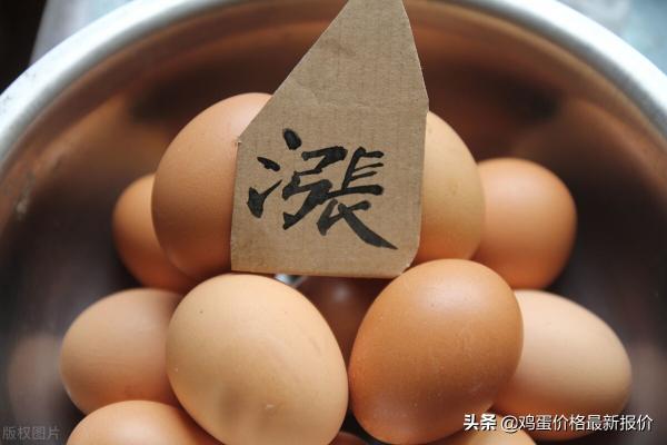 回龙观鸡蛋价格最新（走货快）