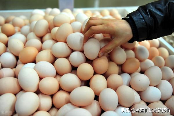 回龙观鸡蛋价格最新（涨）