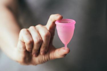 女神杯价格是多少（女生请进）