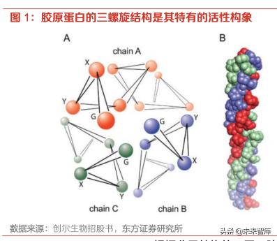 芳香世家面膜价格查询（胶原蛋白行业研究报告）