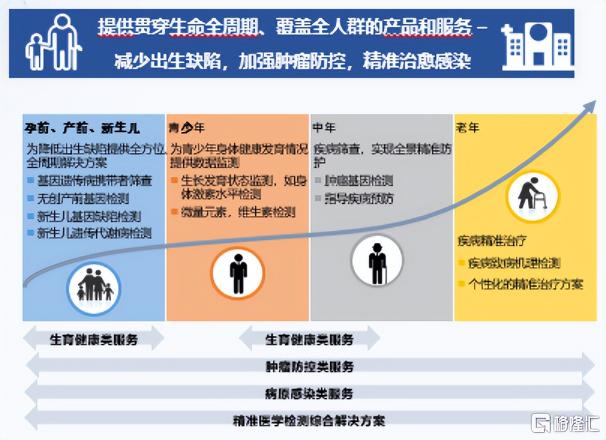 华大基因发行价格（华大基因）