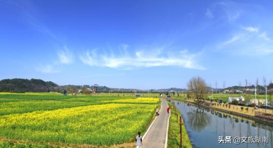 湘乡火玫瑰休闲价格（湖南这些赏油菜花胜地）