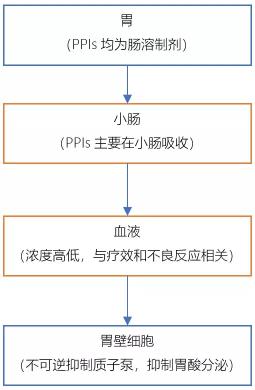 洛赛克胶囊价格（请关注质子泵抑制剂用药的五个细节）