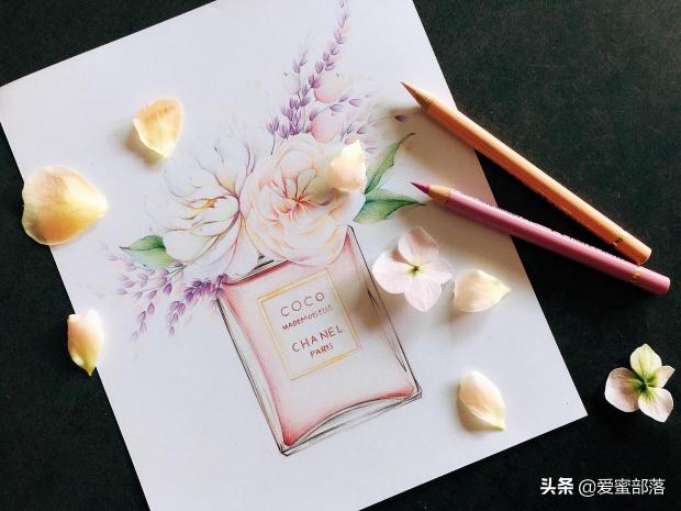 摩登coco香水价格（画画如何不）