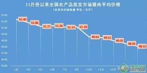 浙江金华生猪价格（11月19日全国生猪价格最新行情）