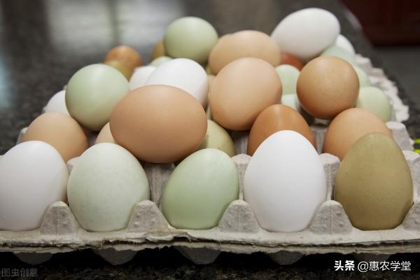 鸡蛋价格行情（今日鸡蛋多少钱一斤）
