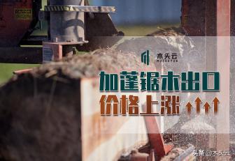 非洲木材价格表（加蓬锯木出口价格上涨）