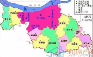 顧山紅豆多少錢一個（金顧山）