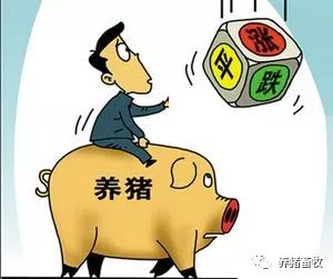 浙江金华生猪价格（2017年12月16日据统计全国生猪价格最新行情）