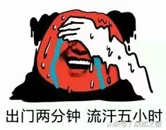 格林诺夫冰淇淋价格（用生命吃下成都的这35款雪糕）