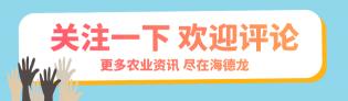 2016年金手指葡萄价格（6月18日葡萄报价）