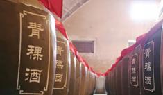 青稞老基酒价格（为啥青海特产名酒青稞酒卖不动）