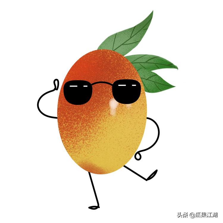 大荔冬枣价格2015（凭什么）