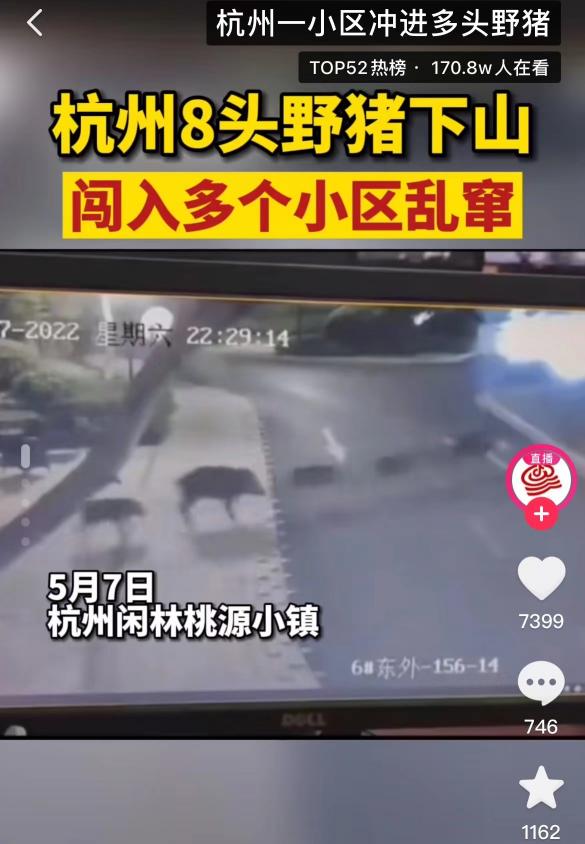 之江一號 價格暴跌（人心惶惶）