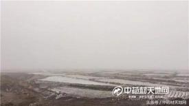 2017年杏核价格（杏仁桃仁被大雪天气影响）