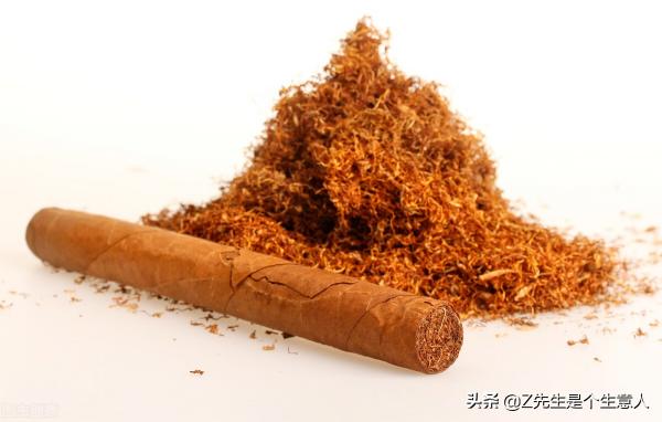 香烟的价格（香烟价格逐步上涨）