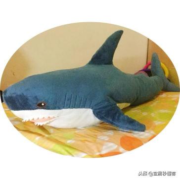 宜家鲨鱼多少钱（莫名其妙）